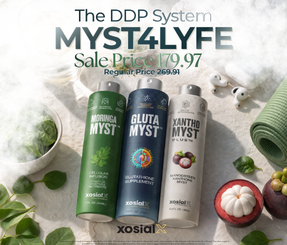 The DDP System